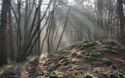 Mitski Park / Mythic Park – A joint cross-border tourist destination project to preserve, protect and promote the heritage of a mythic landscape