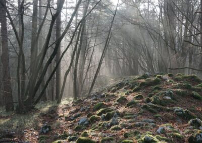 Mitski Park / Mythic Park – A joint cross-border tourist destination project to preserve, protect and promote the heritage of a mythic landscape