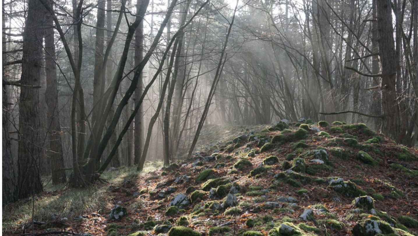 xr:d:DAFeq9qYX6E:7,j:44368345617,t:23033113