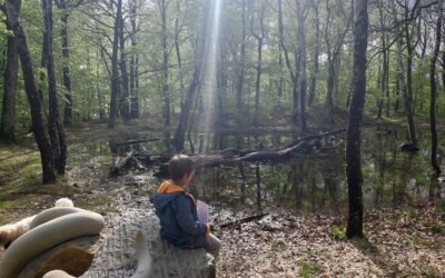 Heritage as an object and reflection of social processes