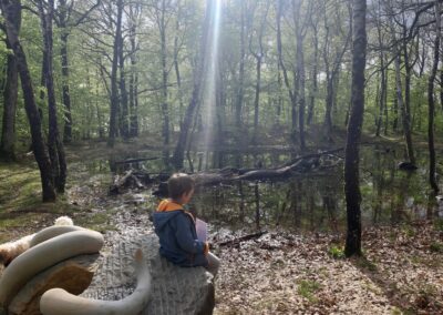 Heritage as an object and reflection of social processes