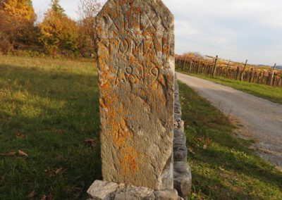Izšla monografija Tomajci: slovenska zgodovina v malem (16.–20. stoletje)