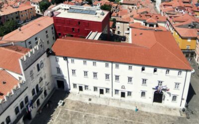 Pedagoškega procesa prosti dnevi