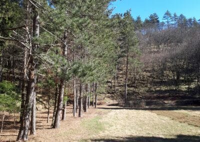 Owners of a Common Heritage. Commons, Environment and Rights in European Mountains (18th – 20th century)