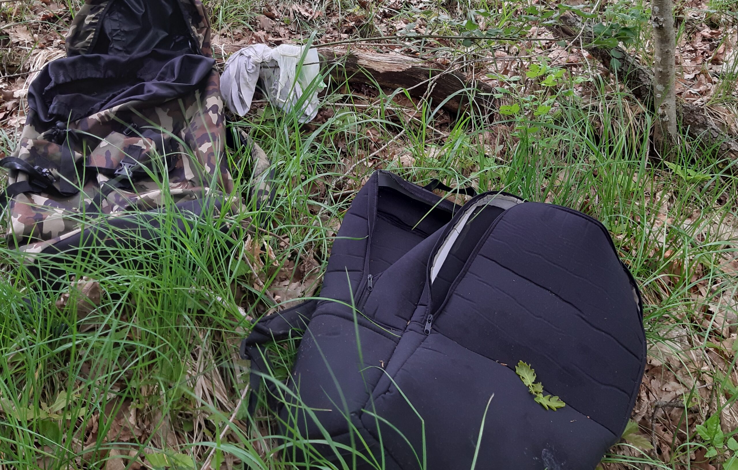 foto mitski park migranti copy