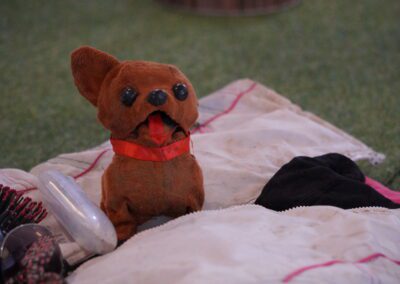 Ob predstavitvi knjige in odprtju razstave diskusija o mejah in migracijah