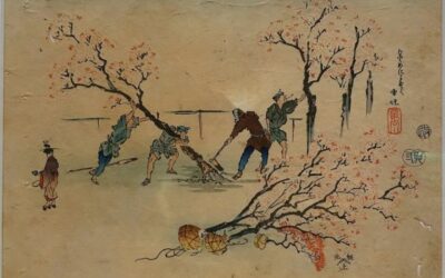 Zgodovinska pomlad 2024: Taro Takemoto: A History of Tree Planting in Modern Japan: Resource Utilization and Environment Conservation