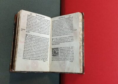 8. mednarodni znanstveni posvet DIVINA: dnevi Andrea Diva iz Justinopolisa