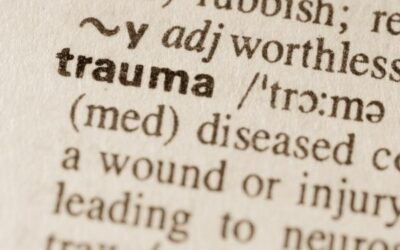 Film Modrost travme dr. Gaborja Matéja prihaja v Portorož