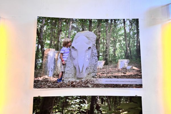 Kopija izdelka FB in UPOGLED