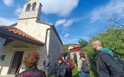 Mednarodna poletna šola muzeologije in dediščine 2025 – Raziskave in prakse v hitro spreminjajočem se svetu