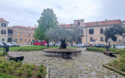 V krošnjah spominov – dediščinski sprehod med zelenjem in drevesi starega Kopra