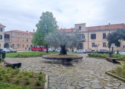 V krošnjah spominov – dediščinski sprehod med zelenjem in drevesi starega Kopra