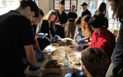 Študenti UP FHŠ in koprska drevesa na Simpoziju “Living Trees as Architecture” na Beneškem arhitekturnem bienalu