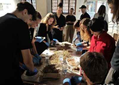 Študenti UP FHŠ in koprska drevesa na Simpoziju “Living Trees as Architecture” na Beneškem arhitekturnem bienalu