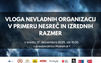 VLOGA NEVLADNIH ORGANIZACIJ V PRIMERU NESREČ IN IZREDNIH RAZMER