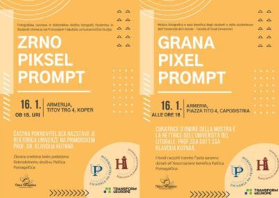 Dobrodelna razstava in dražba slik